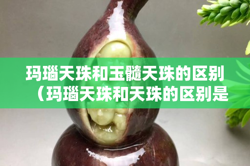 玛瑙天珠和玉髓天珠的区别（玛瑙天珠和天珠的区别是什么？）