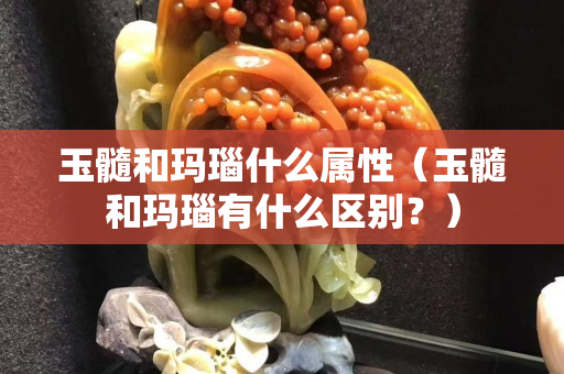 玉髓和玛瑙什么属性（玉髓和玛瑙有什么区别？）