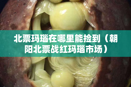 北票玛瑙在哪里能捡到（朝阳北票战红玛瑙市场）