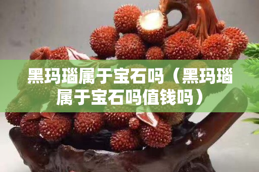 黑玛瑙属于宝石吗（黑玛瑙属于宝石吗值钱吗）