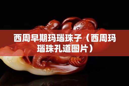 西周早期玛瑙珠子（西周玛瑙珠孔道图片）