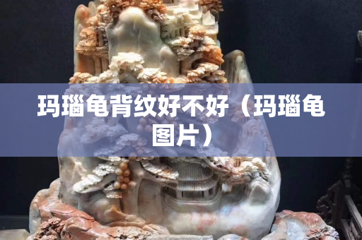 玛瑙龟背纹好不好（玛瑙龟图片）