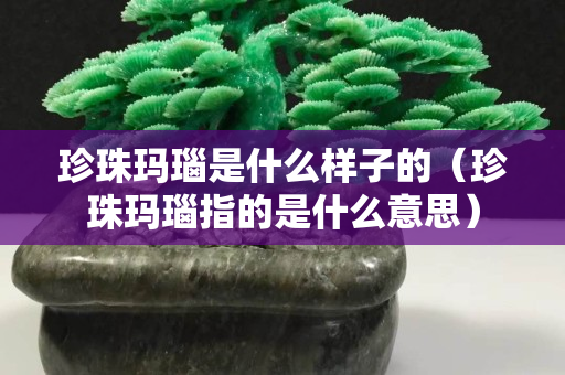 珍珠玛瑙是什么样子的（珍珠玛瑙指的是什么意思）