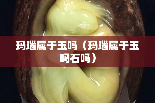 玛瑙属于玉吗（玛瑙属于玉吗石吗）