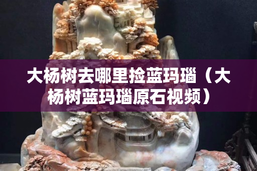 大杨树去哪里捡蓝玛瑙（大杨树蓝玛瑙原石视频）