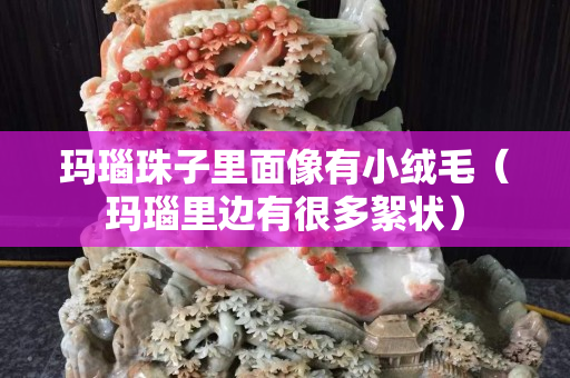 玛瑙珠子里面像有小绒毛（玛瑙里边有很多絮状）