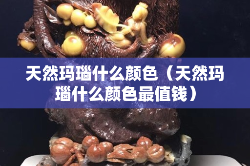 天然玛瑙什么颜色（天然玛瑙什么颜色最值钱）