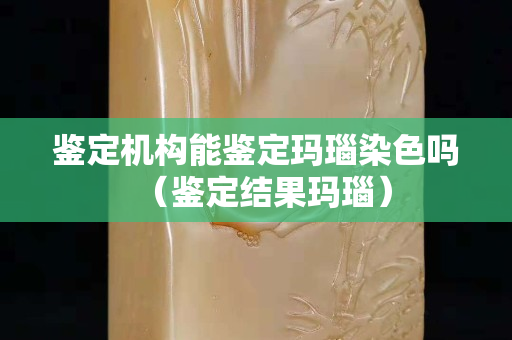 鉴定机构能鉴定玛瑙染色吗（鉴定结果玛瑙）