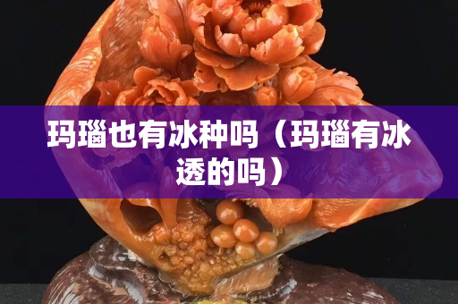 玛瑙也有冰种吗（玛瑙有冰透的吗）