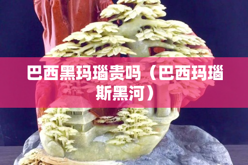 巴西黑玛瑙贵吗（巴西玛瑙斯黑河）