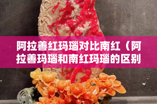 阿拉善红玛瑙对比南红（阿拉善玛瑙和南红玛瑙的区别）
