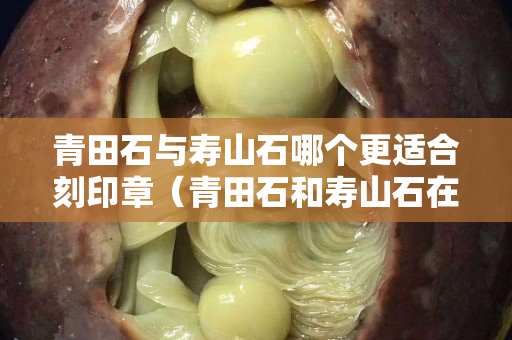 青田石与寿山石哪个更适合刻印章（青田石和寿山石在篆刻的区别）