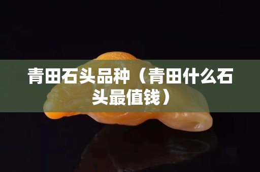 青田石头品种（青田什么石头最值钱）