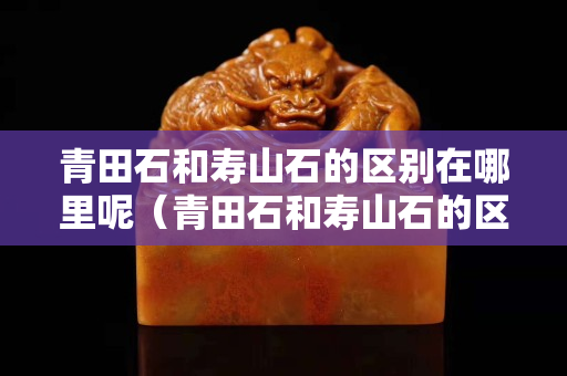 青田石和寿山石的区别在哪里呢（青田石和寿山石的区别在哪里呢）