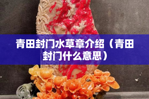 青田封门水草章介绍（青田封门什么意思）