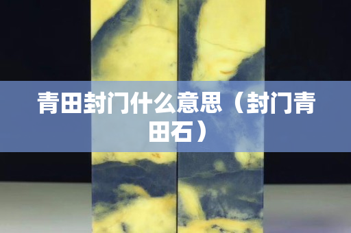 青田封门什么意思（封门青田石）