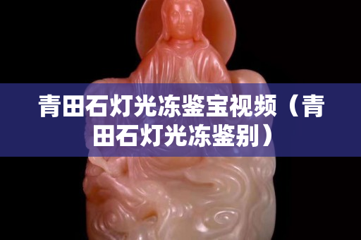 青田石灯光冻鉴宝视频（青田石灯光冻鉴别）
