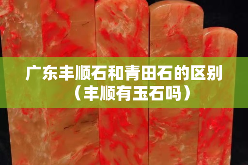 广东丰顺石和青田石的区别（丰顺有玉石吗）