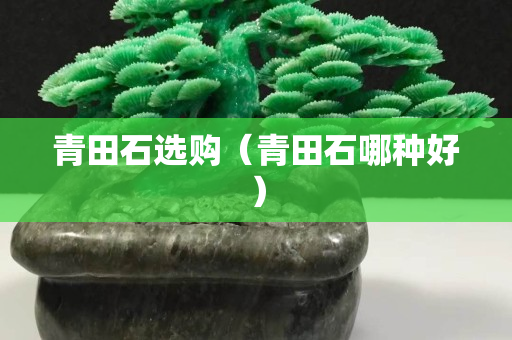 青田石选购（青田石哪种好）