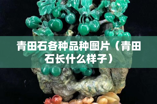 青田石各种品种图片（青田石长什么样子）