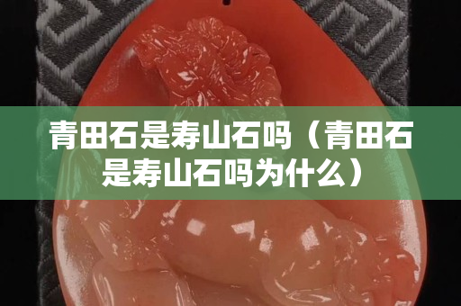 青田石是寿山石吗（青田石是寿山石吗为什么）