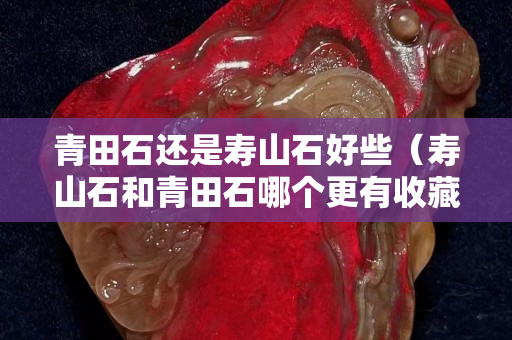 青田石还是寿山石好些（寿山石和青田石哪个更有收藏价值）