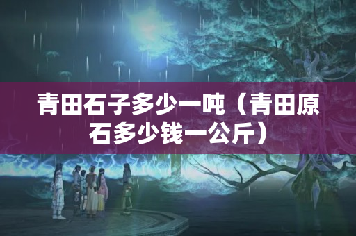 青田石子多少一吨（青田原石多少钱一公斤）