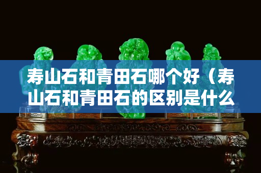 寿山石和青田石哪个好（寿山石和青田石的区别是什么？）