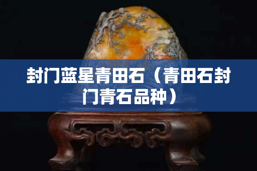 封门蓝星青田石（青田石封门青石品种）
