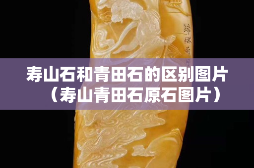 寿山石和青田石的区别图片（寿山青田石原石图片）