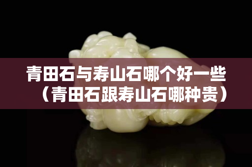 青田石与寿山石哪个好一些（青田石跟寿山石哪种贵）