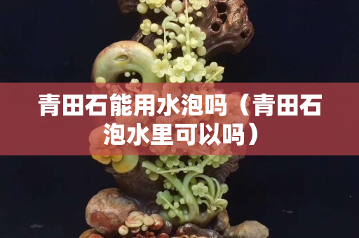 青田石能用水泡吗（青田石泡水里可以吗）