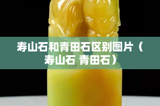 寿山石和青田石区别图片（寿山石 青田石）