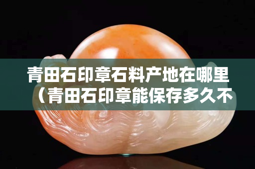 青田石印章石料产地在哪里（青田石印章能保存多久不坏）