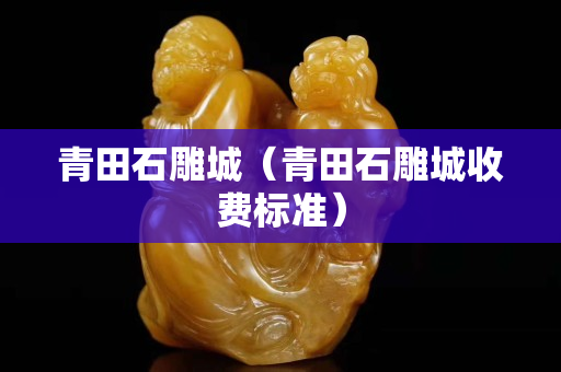 青田石雕城（青田石雕城收费标准）
