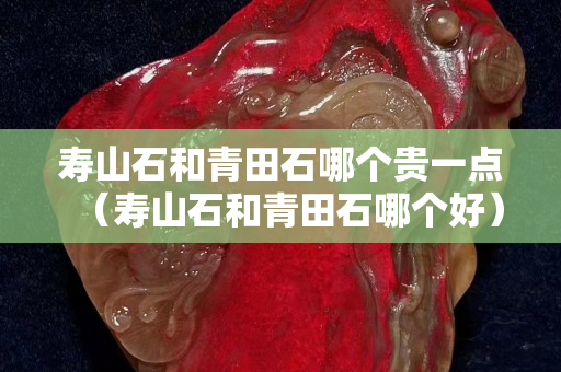 寿山石和青田石哪个贵一点（寿山石和青田石哪个好）
