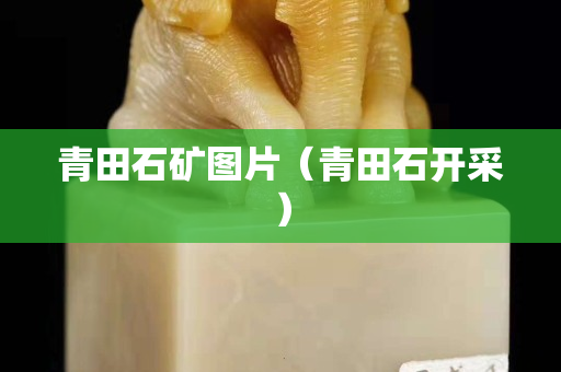 青田石矿图片（青田石开采）