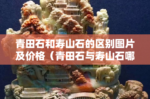 青田石和寿山石的区别图片及价格（青田石与寿山石哪个更适合刻印章）