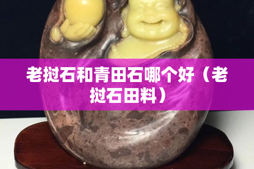 老挝石和青田石哪个好（老挝石田料）