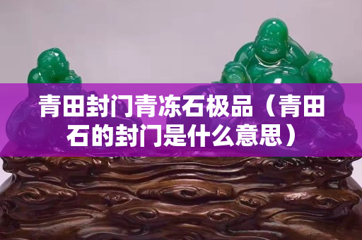 青田封门青冻石极品（青田石的封门是什么意思）