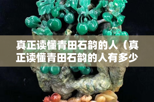 真正读懂青田石韵的人（真正读懂青田石韵的人有多少）