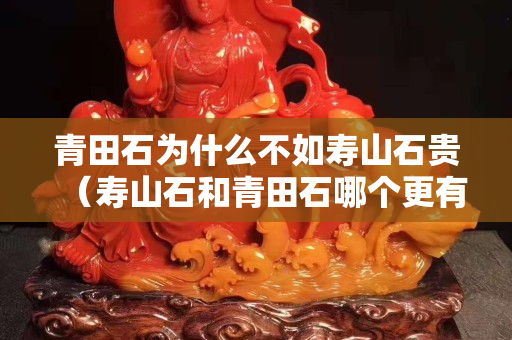 青田石为什么不如寿山石贵（寿山石和青田石哪个更有收藏价值）