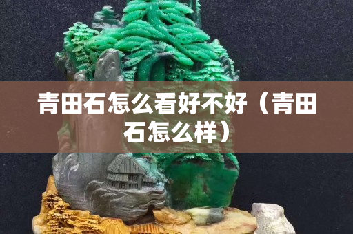 青田石怎么看好不好（青田石怎么样）