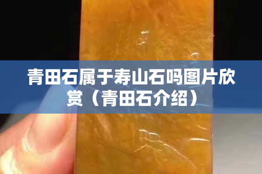 青田石属于寿山石吗图片欣赏（青田石介绍）