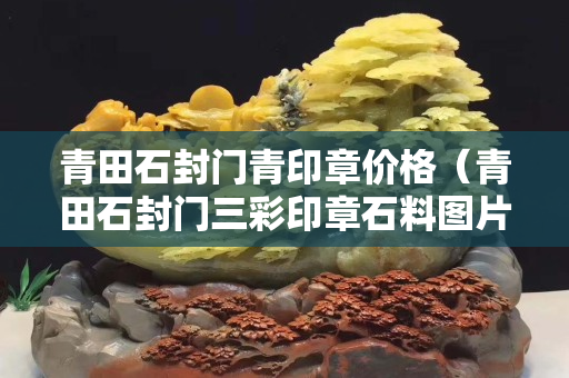 青田石封门青印章价格（青田石封门三彩印章石料图片）