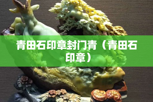青田石印章封门青（青田石 印章）