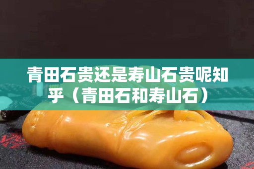 青田石贵还是寿山石贵呢知乎（青田石和寿山石）
