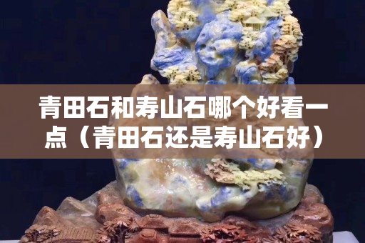 青田石和寿山石哪个好看一点（青田石还是寿山石好）