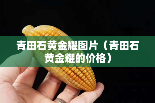 青田石黄金耀图片（青田石黄金耀的价格）