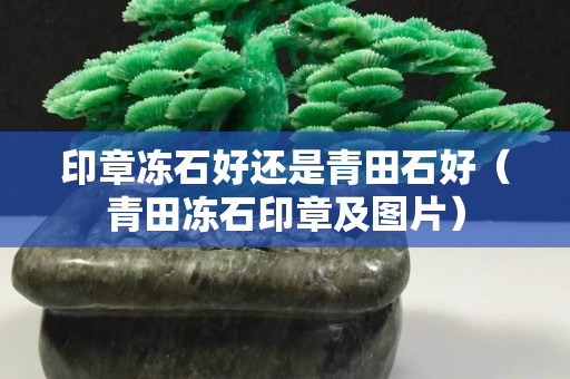 印章冻石好还是青田石好（青田冻石印章及图片）
